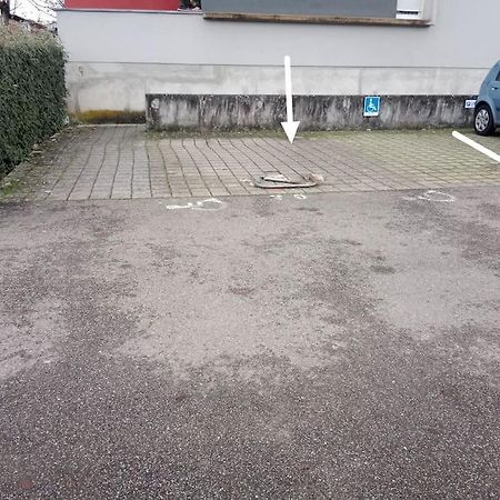 Tres Bel Appartement Rez De Jardin Appart De 53M2. Pfastatt Exterior foto